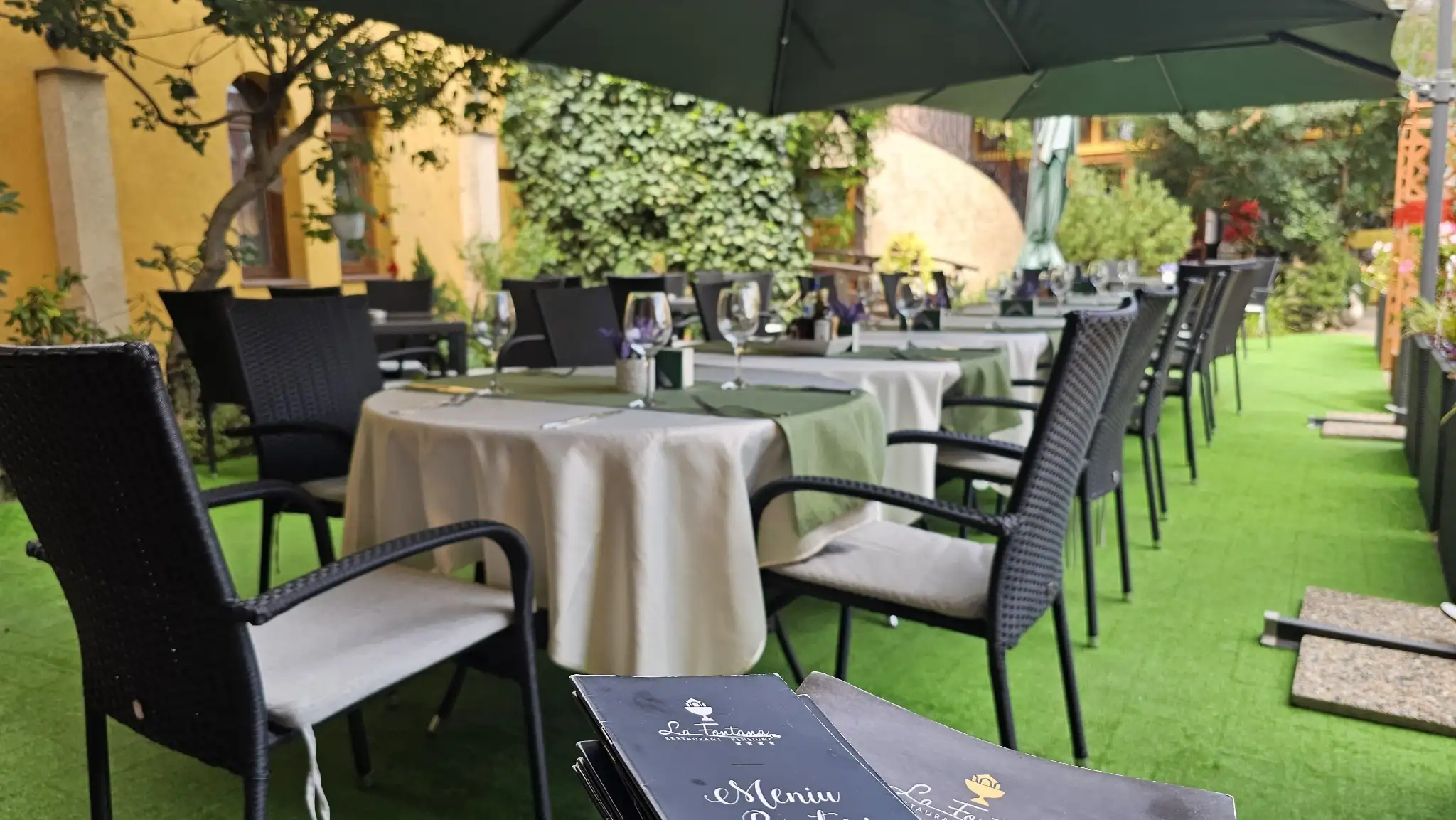 WhatsApp Image 2026-03-30 at 12.07.49 (10)_compressed