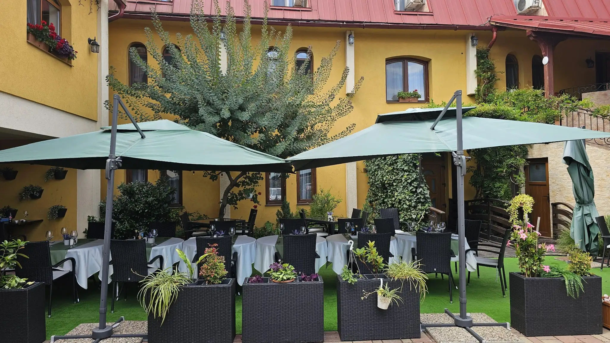 WhatsApp Image 2026-03-30 at 12.07.49_compressed