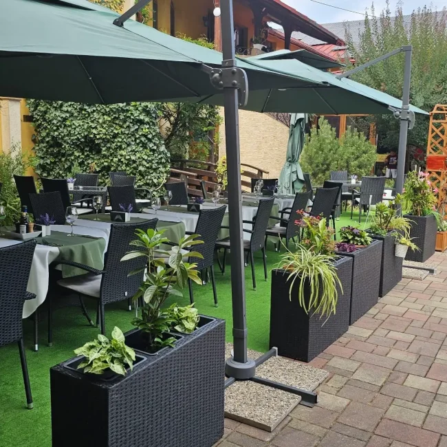 WhatsApp Image 2026-03-30 at 12.07.49 (32)_compressed