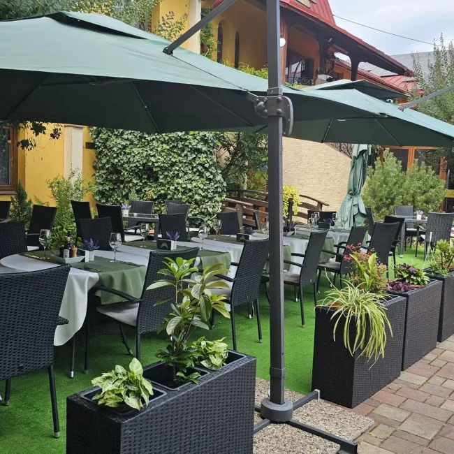 WhatsApp Image 2026-03-30 at 12.07.49 (33)_compressed