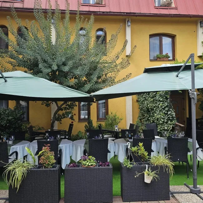 WhatsApp Image 2026-03-30 at 12.07.49_compressed