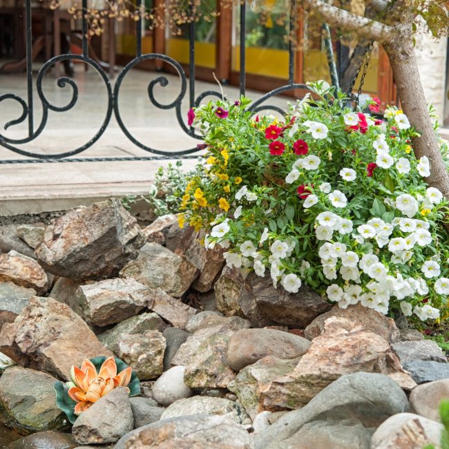 evenimente-la-fontana10